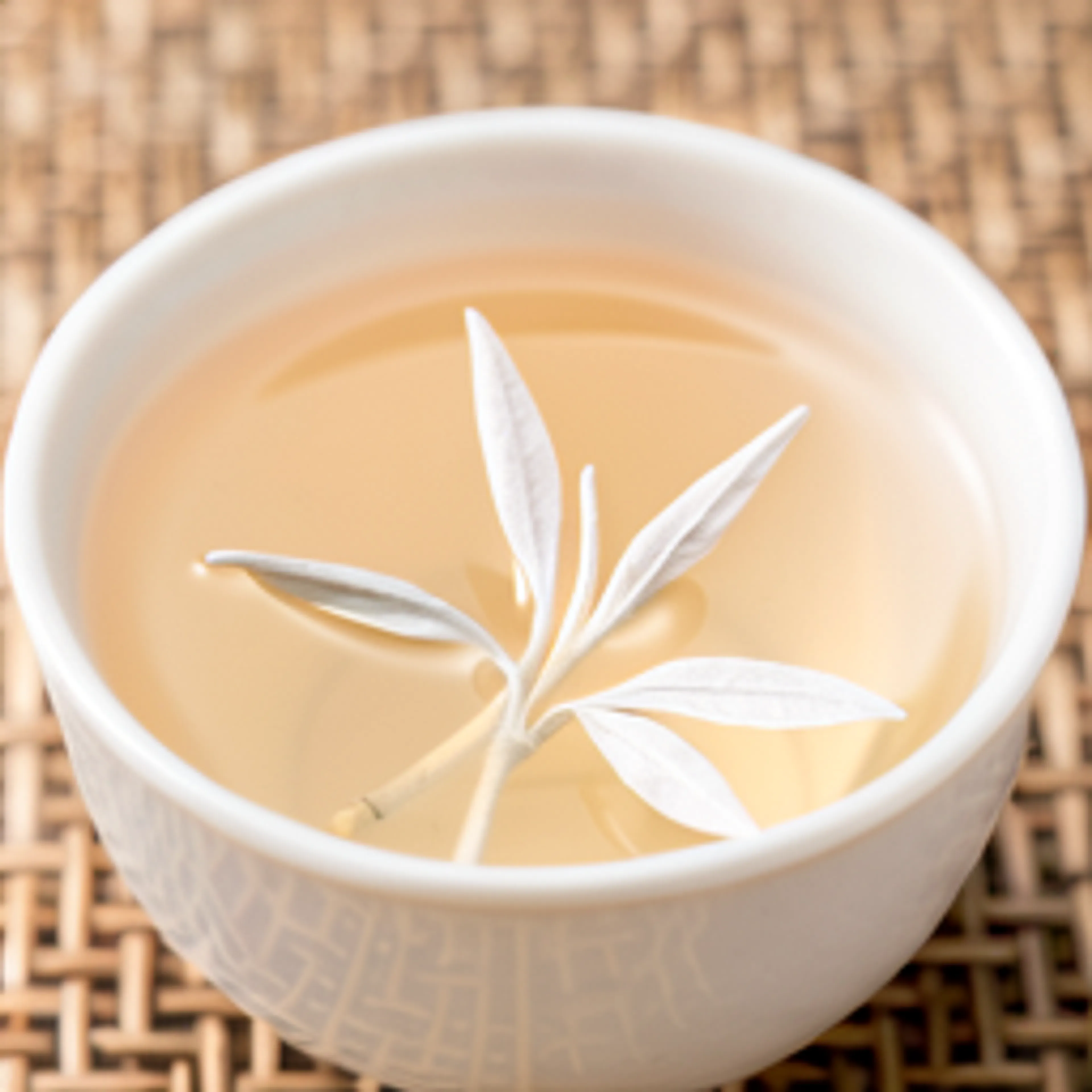 白毫银针经典款