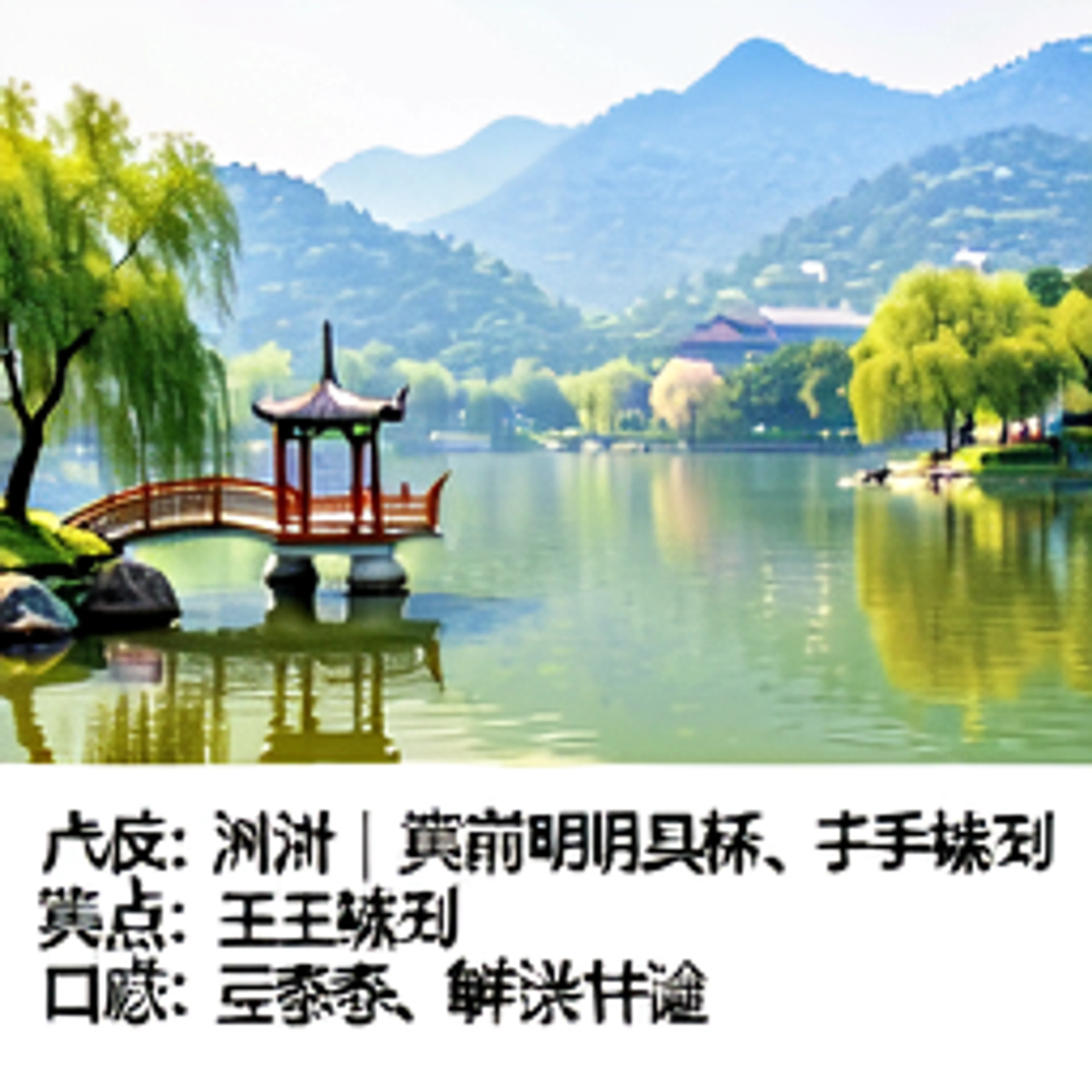 冻顶乌龙经典款